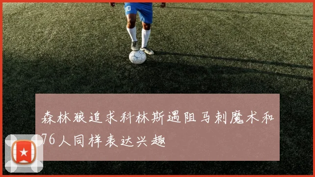 森林狼追求科林斯遇阻马刺魔术和76人同样表达兴趣